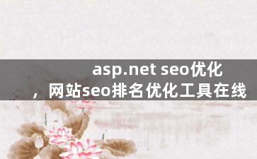asp.net seo优化，网站seo排名优化工具在线